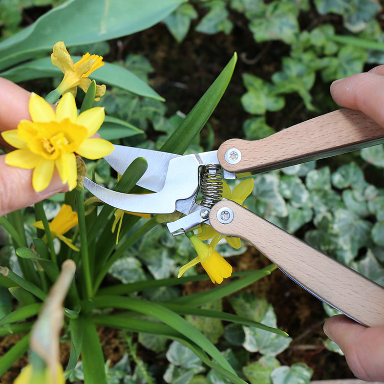 Pocket Pruner Multi Tool