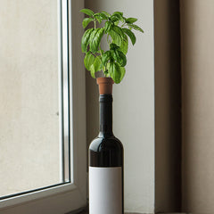 Bottle Top Herb Planters