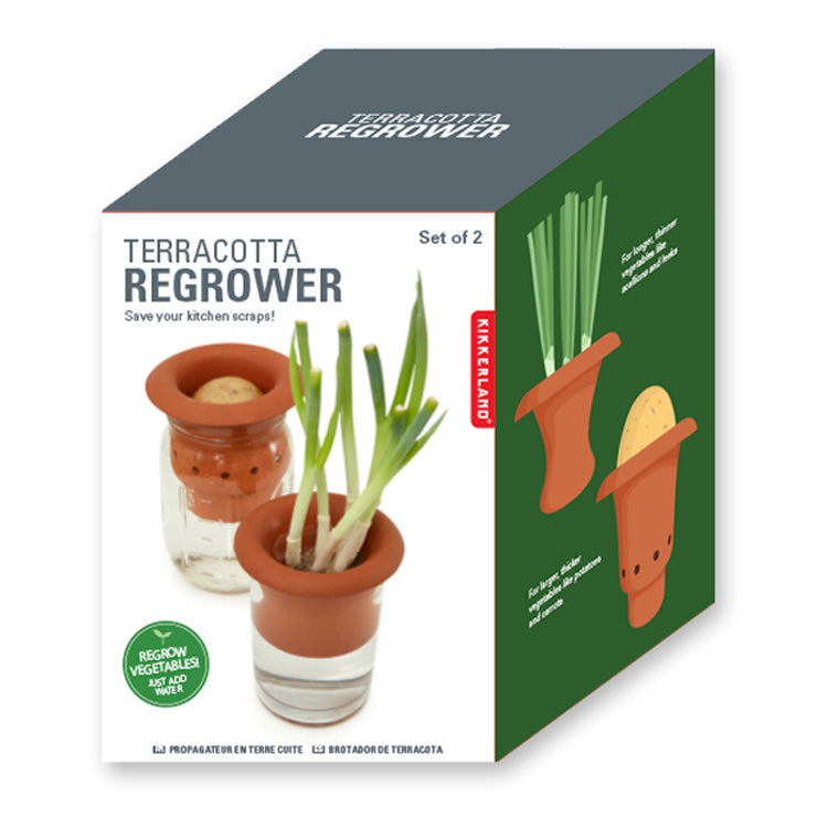 Terracotta Regrower