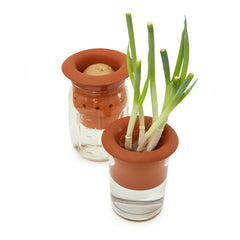 Terracotta Regrower