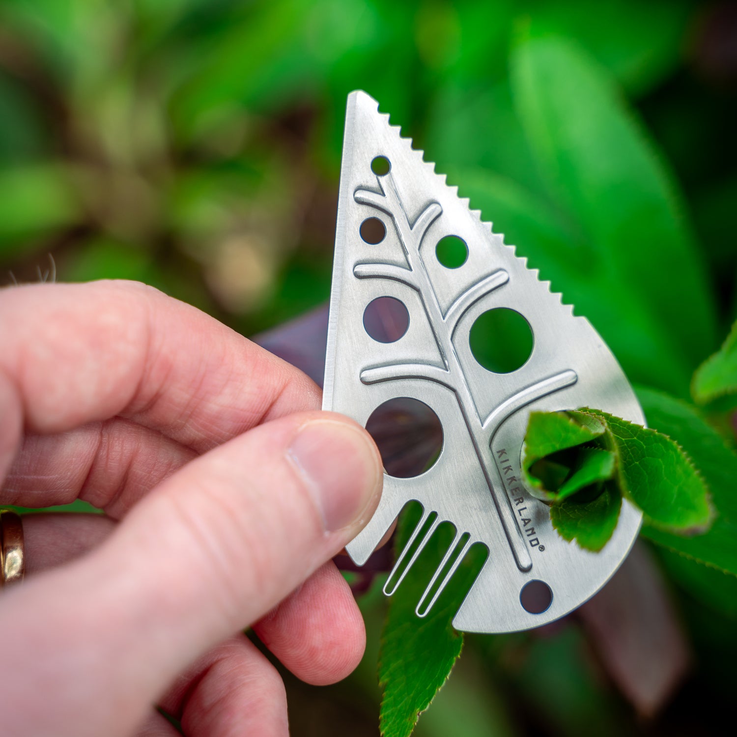 Leaf Foraging Tool