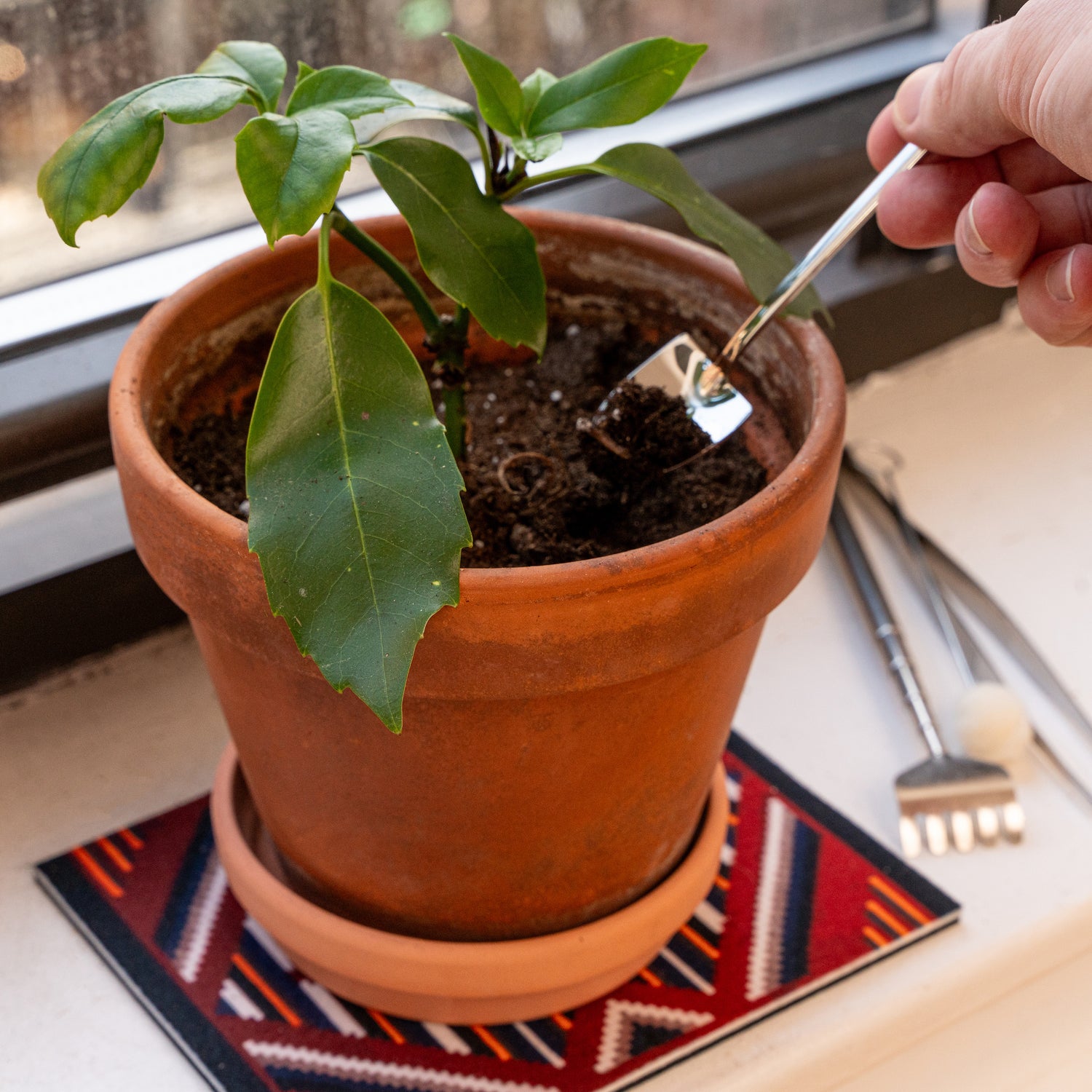 Mini Garden Tools