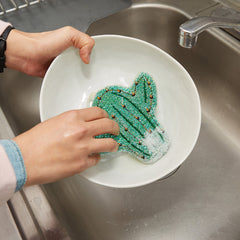 Cactus Scrub Sponge