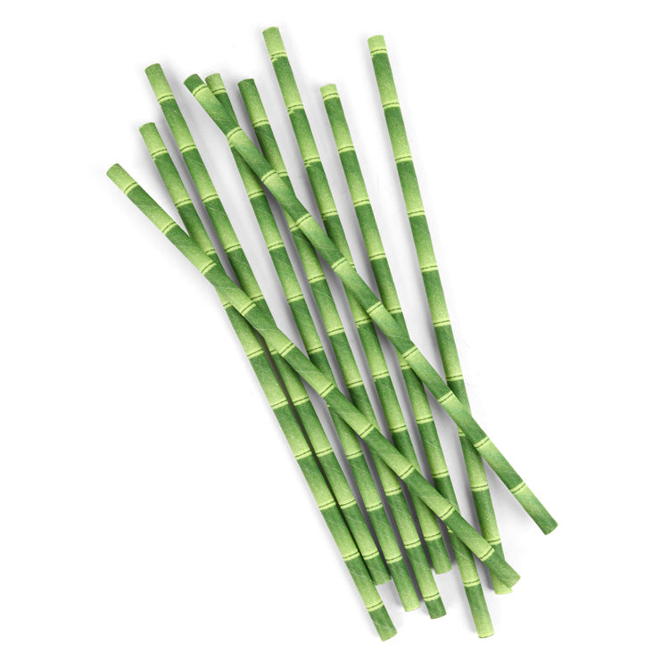 Paper Straws + Bamboo 144 Per Box
