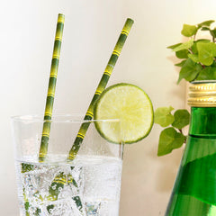 Paper Straws + Bamboo 144 Per Box