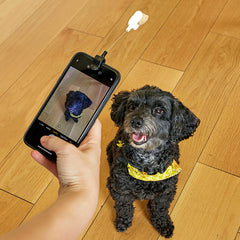 Dog Treat Selfie Clip