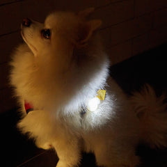 Light up Name Tag