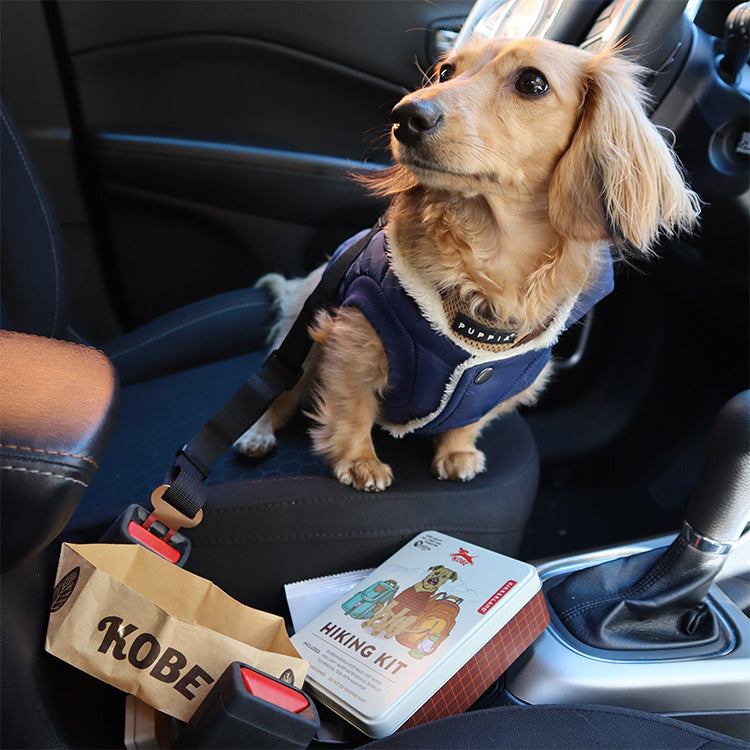 Kobe Road Trip Kit