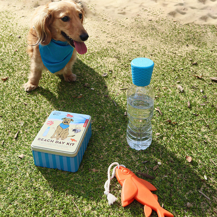 Kobe Beach Day Kit