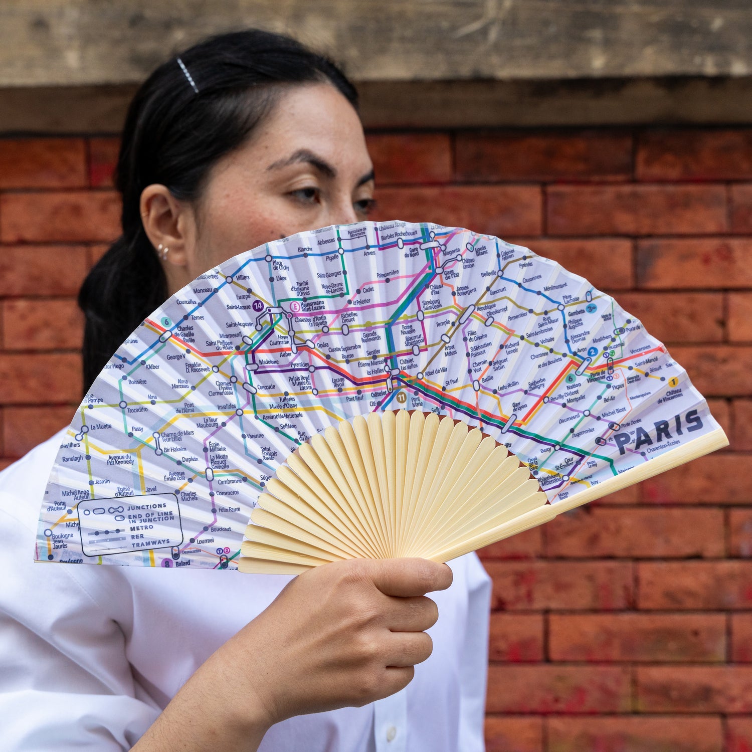 Paris Transit Map Fan