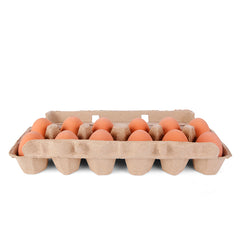 Egg Bouncy Balls