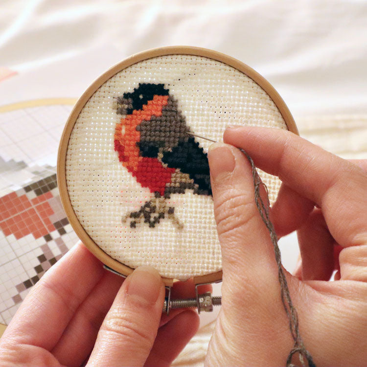 Mini Cross Stitch Embroidery Kit - Bird