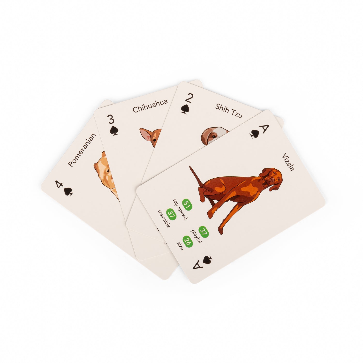 Paws & Play Playing Cards