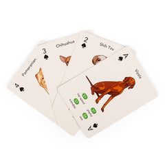Paws & Play Playing Cards