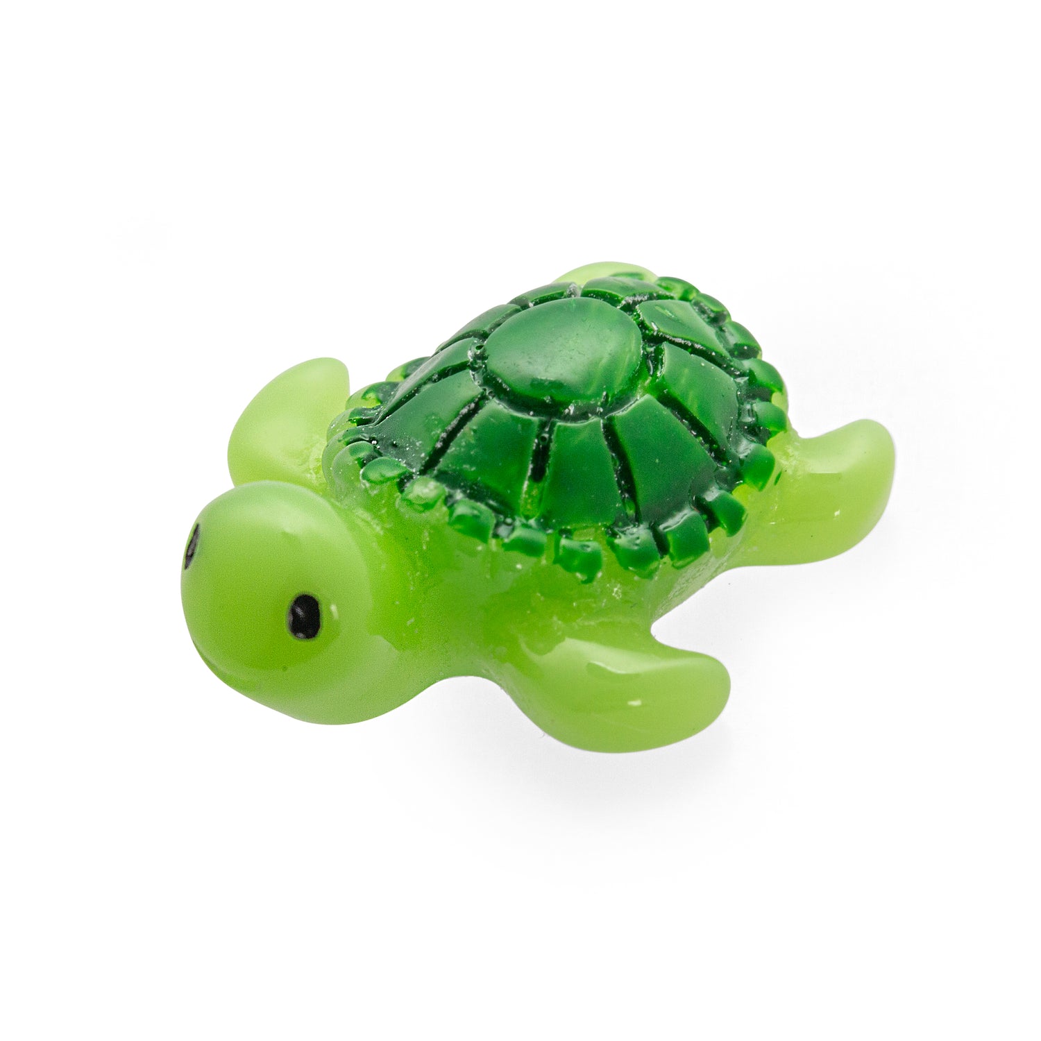 Baby Turtle Magnets