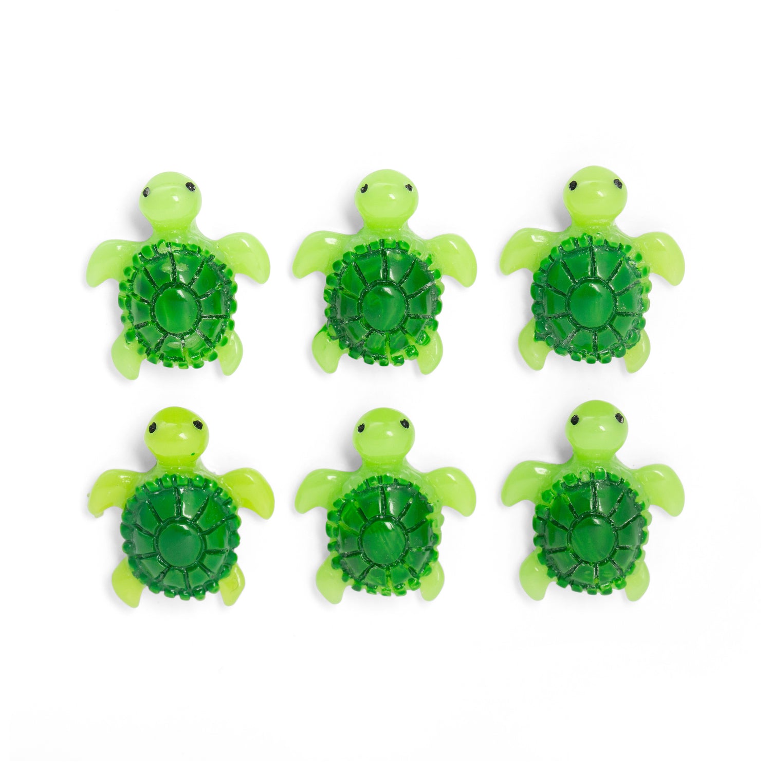 Baby Turtle Magnets