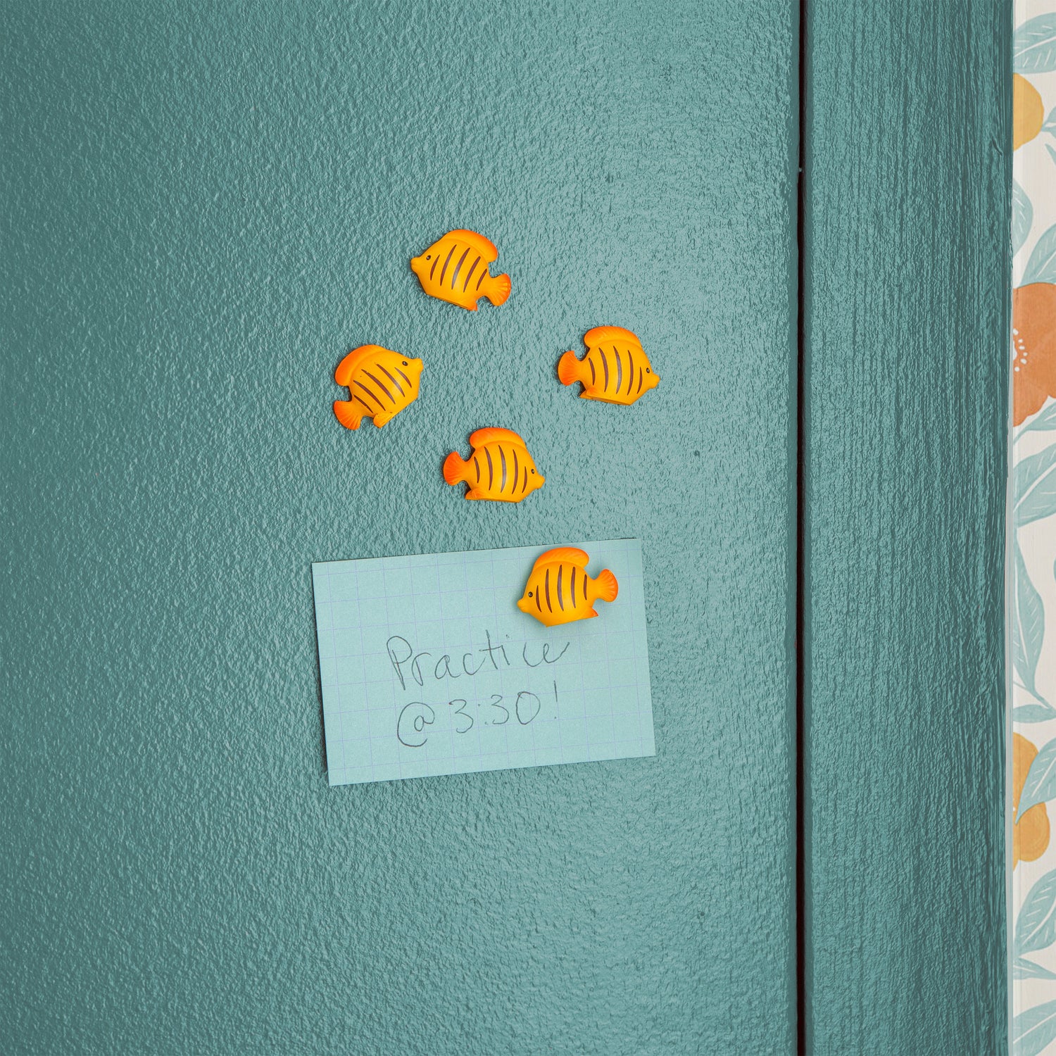 Fish Magnets