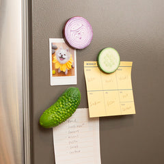Vegetable Magnets