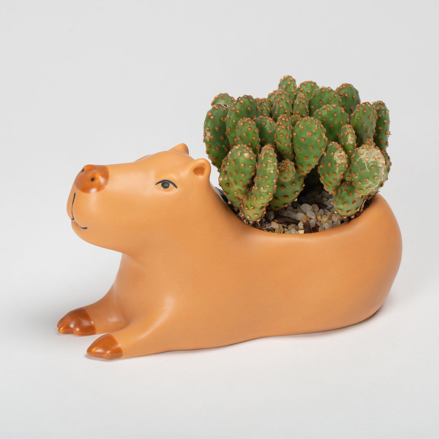 Cappy the Capybara Planter Large