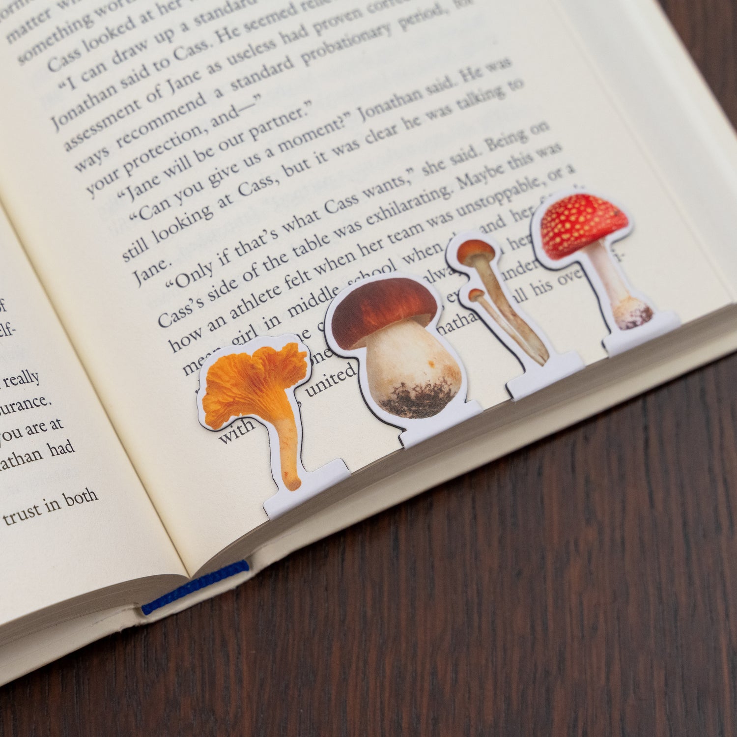 Mushroom Magnetic Bookmarks