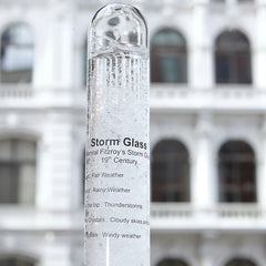 Storm Glass Tube With Beechwood Base