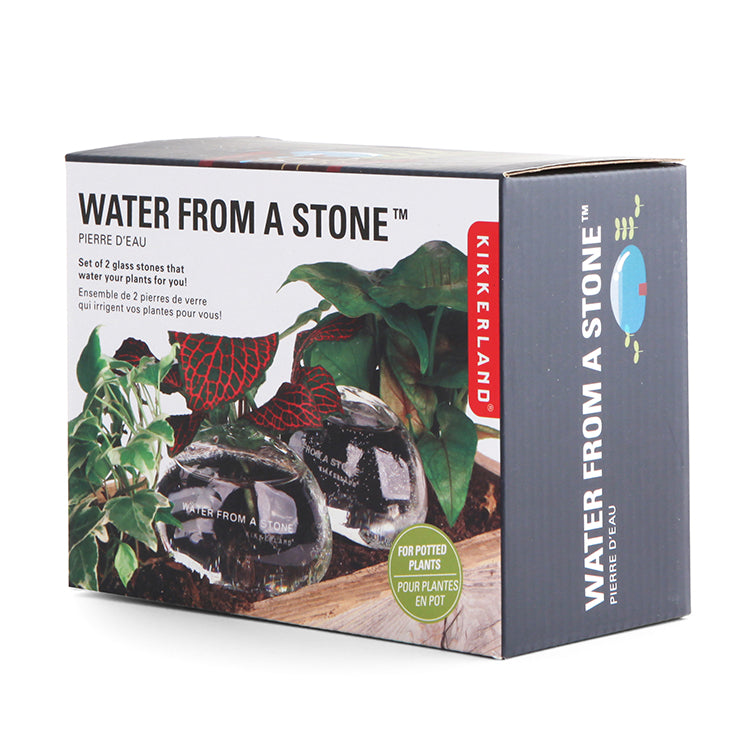 Water From A Stone