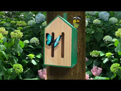 Little Butterfly House - CD539