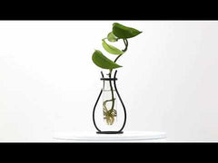Silhouette Vases Assorted - VS04-A