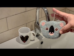 Koala Sponges - CU321