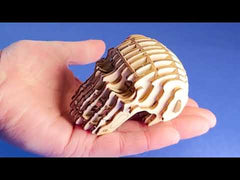 3D Wooden Puzzle Skull & Hand (GG242, GG243)