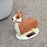 Elroy The Royal Solar Corgi