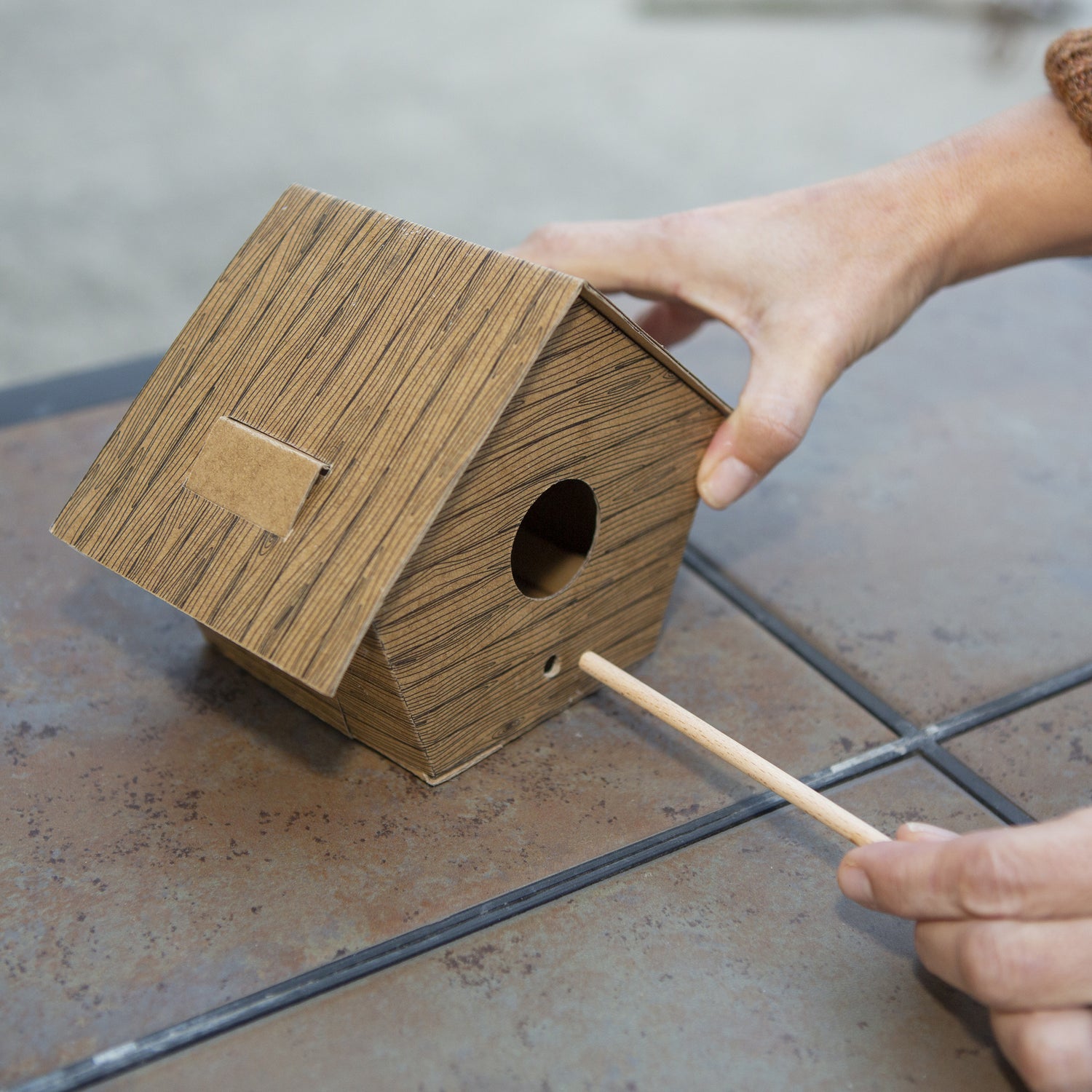 Perfect for bird lovers! Easy to put together. No tools necessary, other than your hands! 
Designer: KDT 
Product Measurement: (Assembled) 7.25