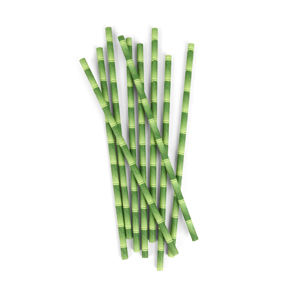 Paper Straws + Bamboo 144 Per Box