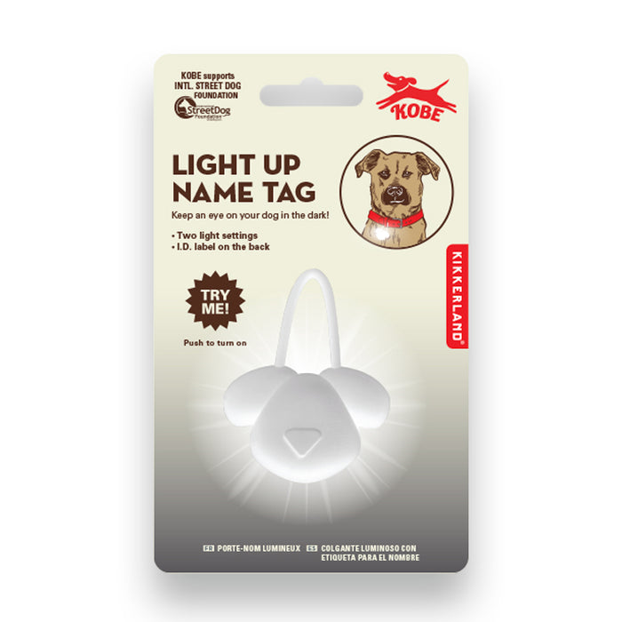Light up Name Tag