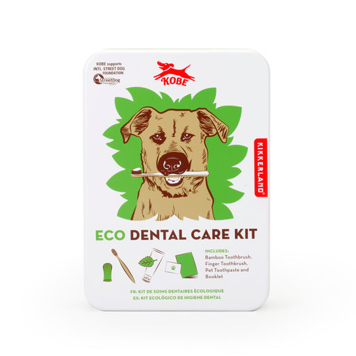 Eco Dental Care Kit