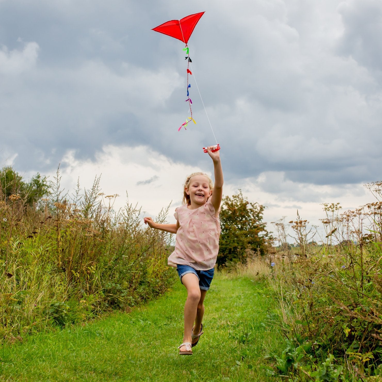 Buy Wholesale a flying kite For Outdoor Fun With Family & Friends 