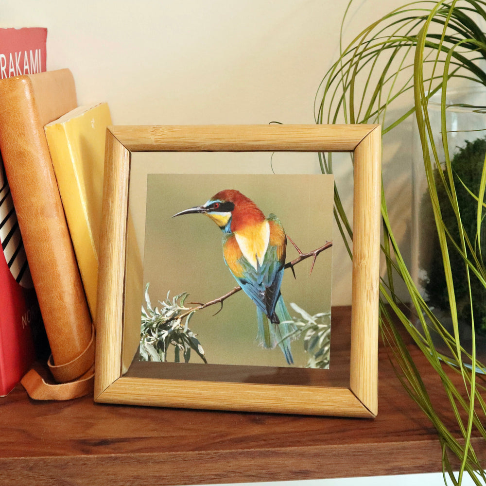 Medium Floating Frame