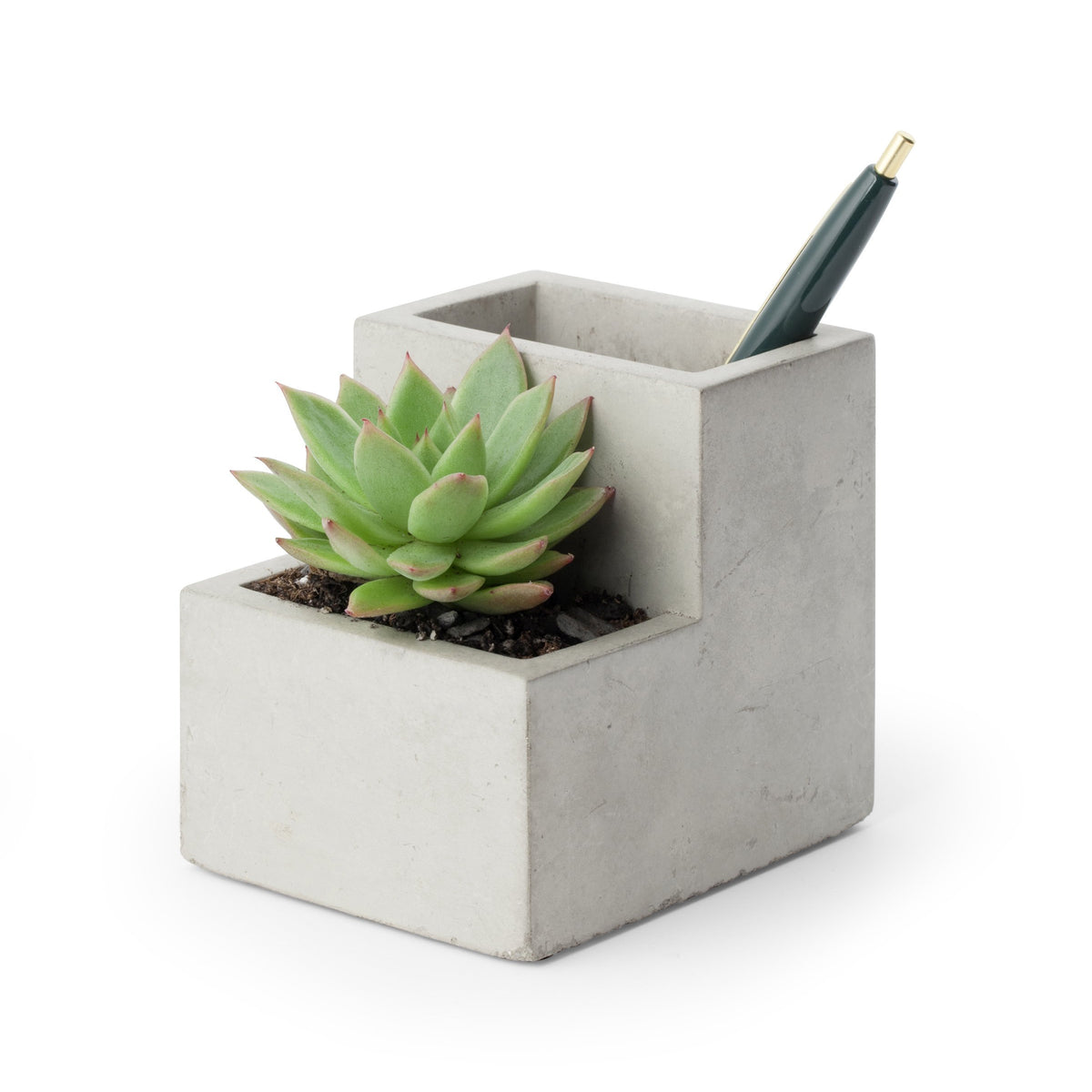 Kikkerland Grass Potted Pen and Phone Stand