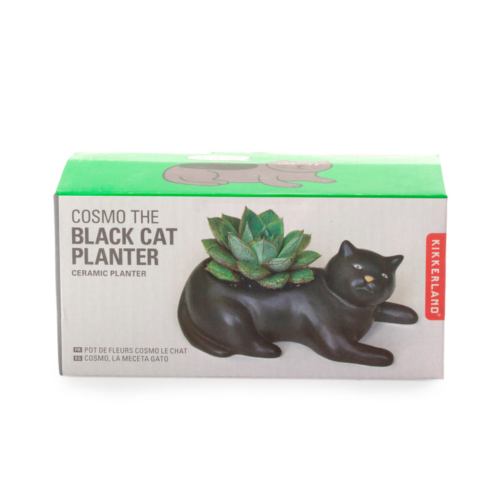 Cosmo The Black Cat Planter