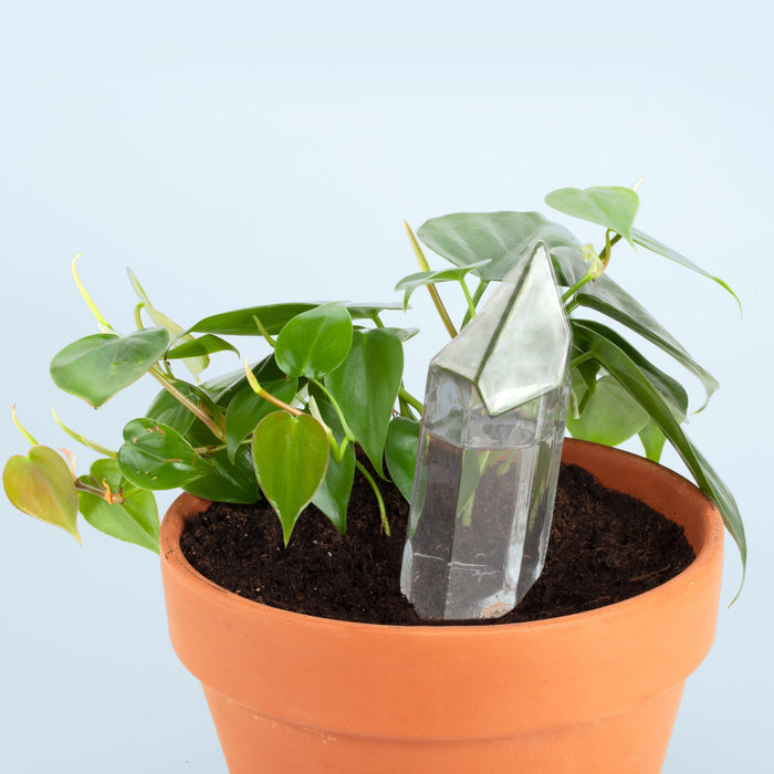 Water From A Crystal - Blown Glass Automatic Self Watering - Water Your Plants